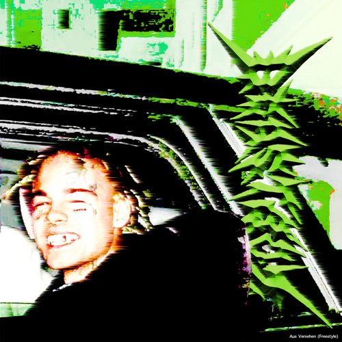 Aus Versehen (Freestyle)