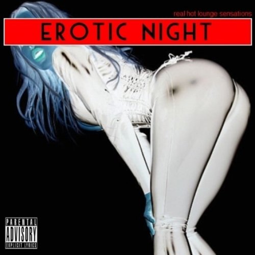 Erotic Night - Real Hot Lounge Sensations