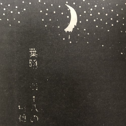 THE MOON IN OUR HEARTS