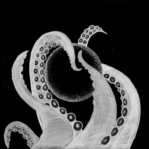 Squid - Single