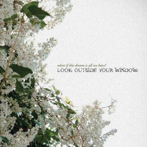Look Outside Your Window