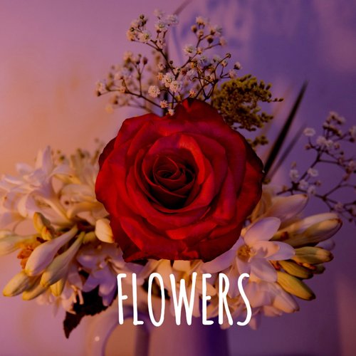 Flowers - Single