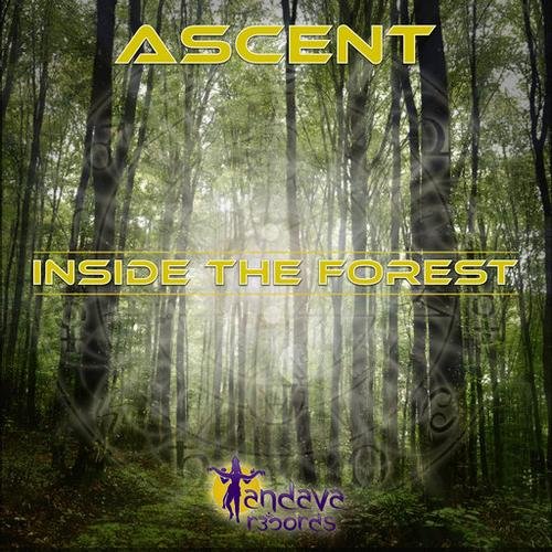 Inside the Forest