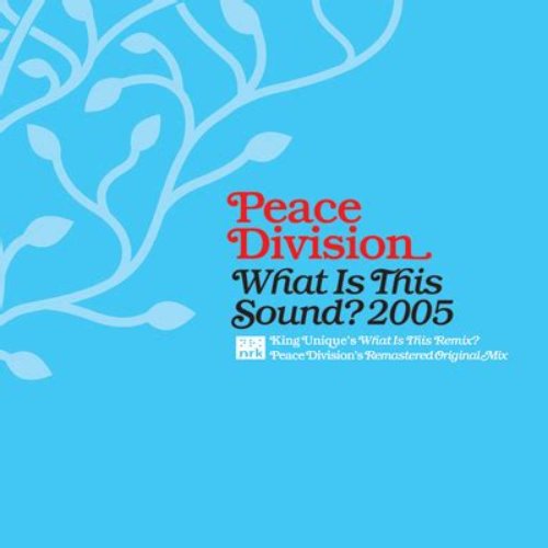 What Is This Sound? 2005