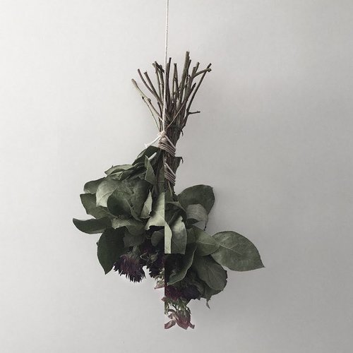 NAISSANCE