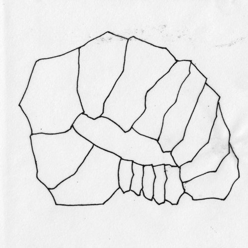 noizprint