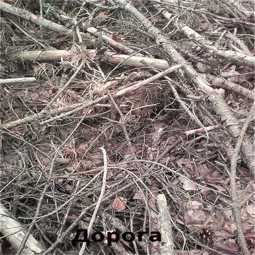 Дорога