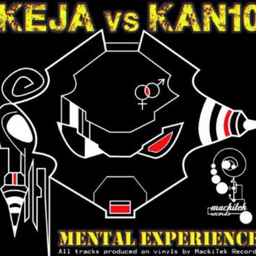Mental Experience