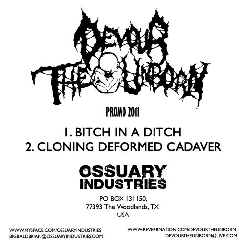 2011 Promo