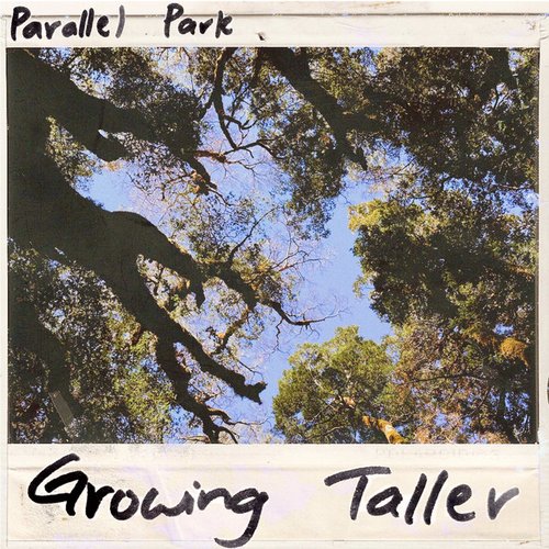 Growing Taller