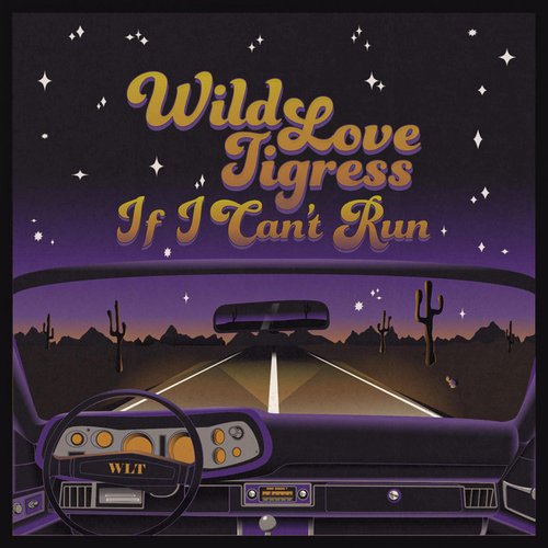 If I Can't Run