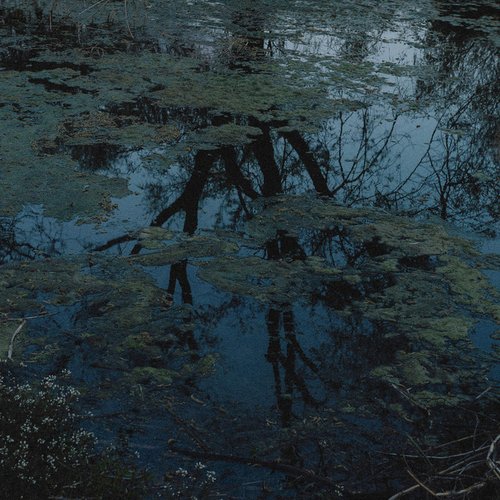 Spring - EP