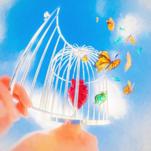 Set You Free
