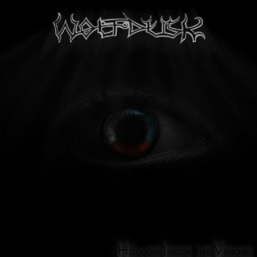HOLLOW INSIDE THE VISIONS