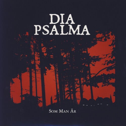Som man är (live)