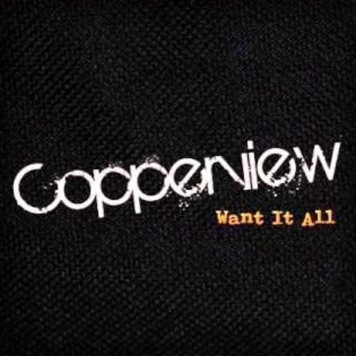 I Want It All - Single