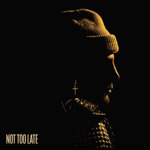 Not Too Late - Single