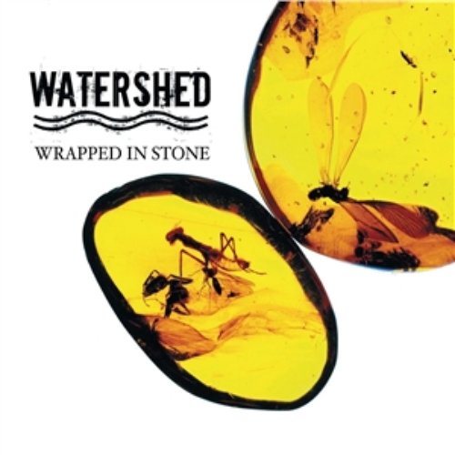 Wrapped In Stone - Repack