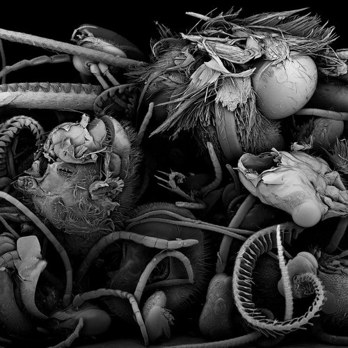 When Will Our Forever Longing Be Satiated