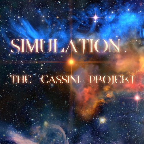 Simulation