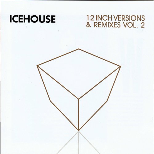 12 Inch Versions & Remixes Vol. 2