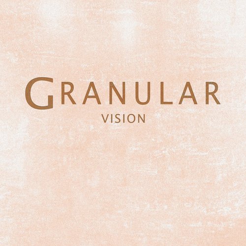 Vision