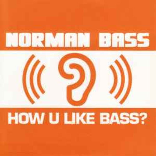 How U Like Bass