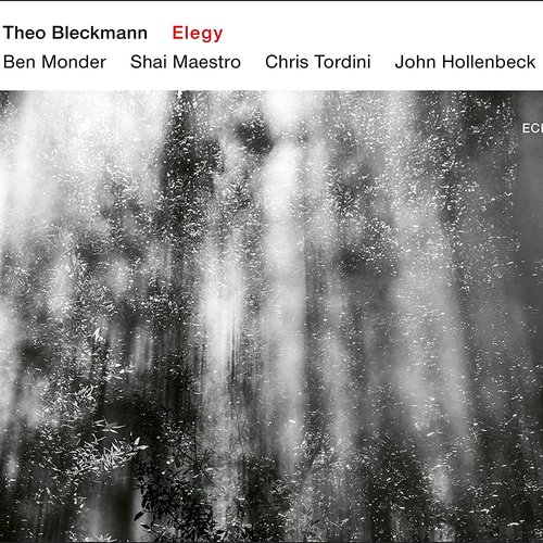 Elegy