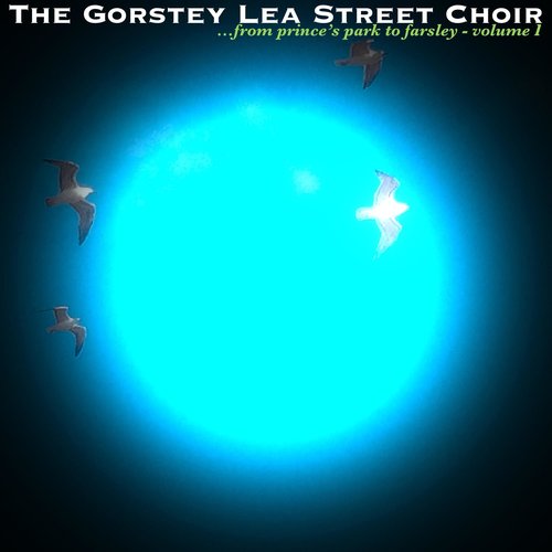 '...from Prince's Park to Farsley (Volume I)'