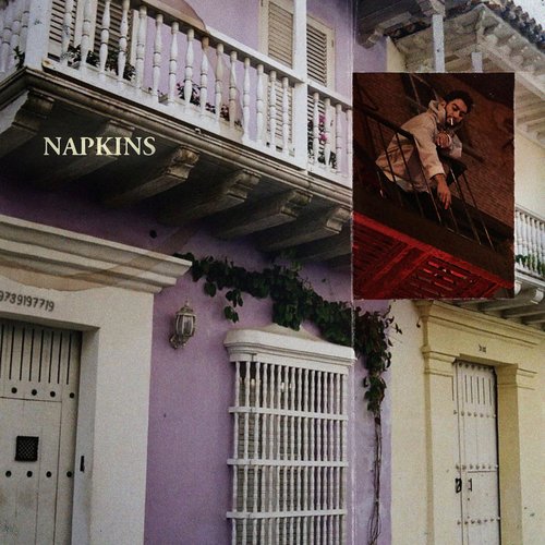 Napkins - Single