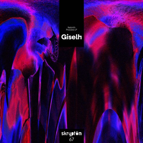 Rebirth Process LP