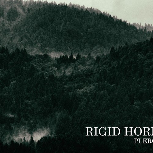 Pleroma