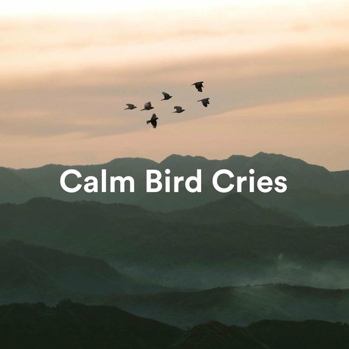 Calm Bird Cries