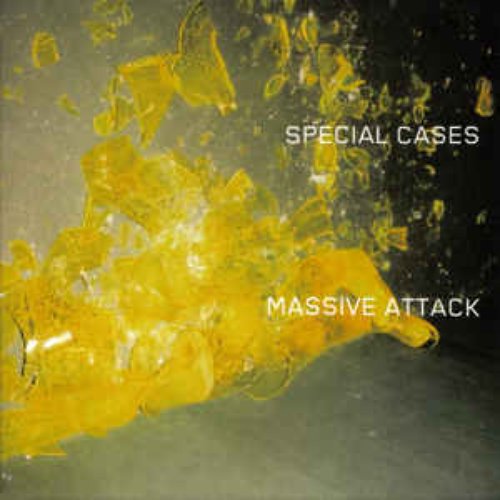 Special Cases - Single