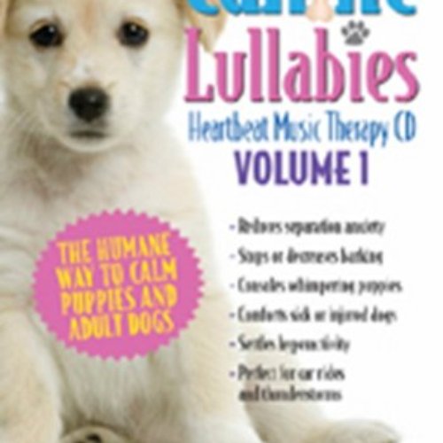 do lullabies work for dogs