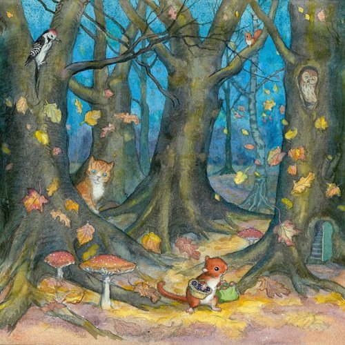 Night-time Stories