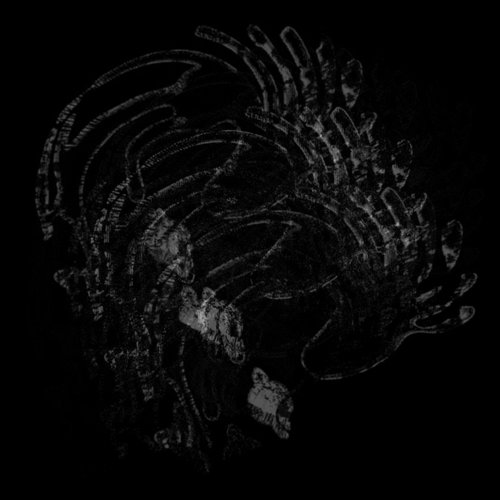 8 - Single