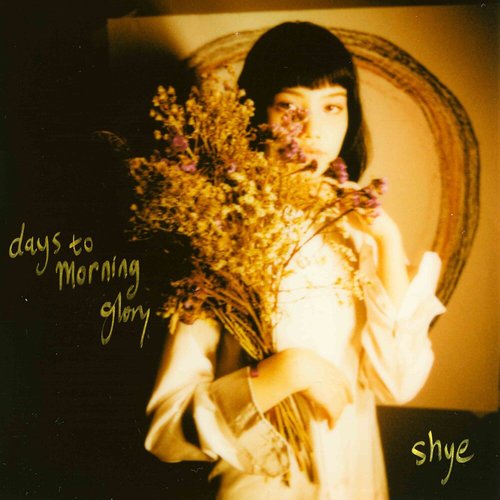 days to morning glory