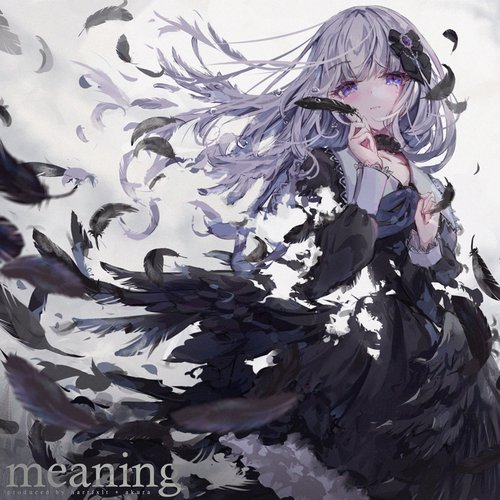 meaning