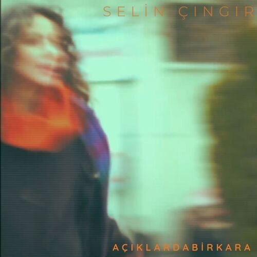 Açıklarda Bir Kara