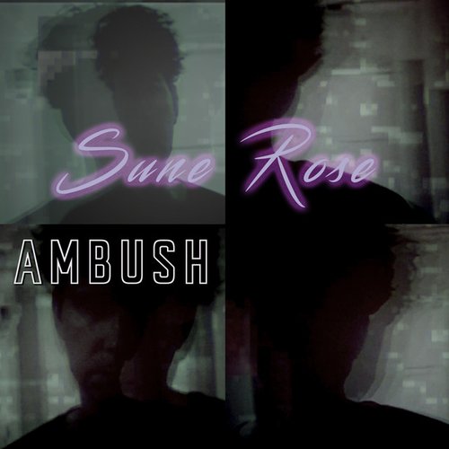 Ambush