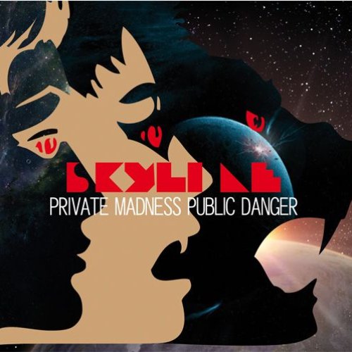 Private Madness Public Danger