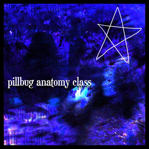 pillbug anatomy class [Explicit]