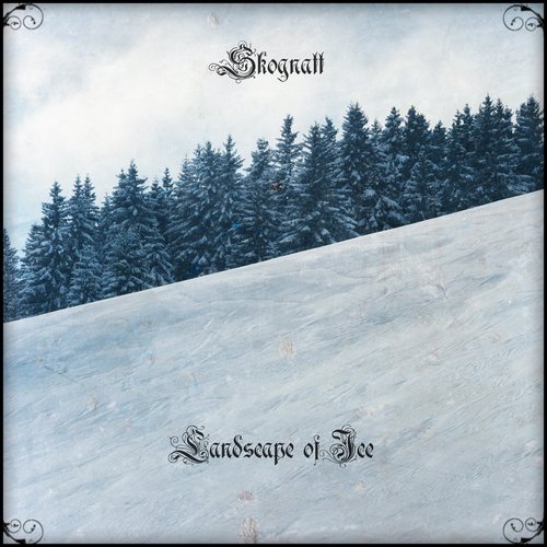 Landscape of Ice
