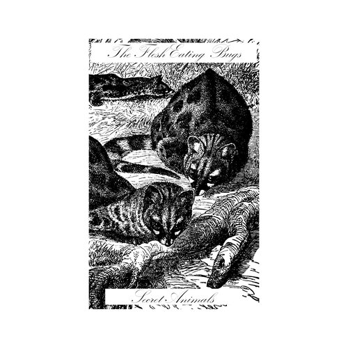 Secret Animals