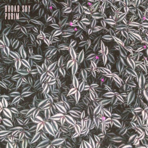 Purim - Single
