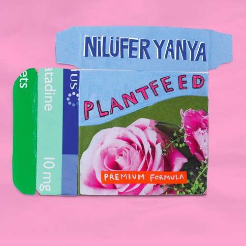 Plant Feed