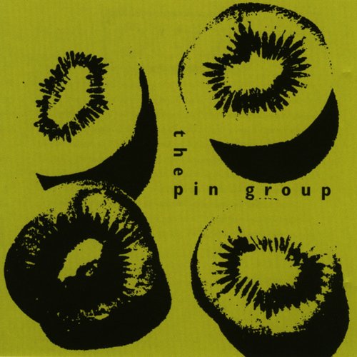 The Pin Group