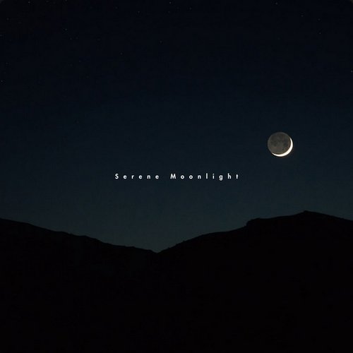 Serene Moonlight
