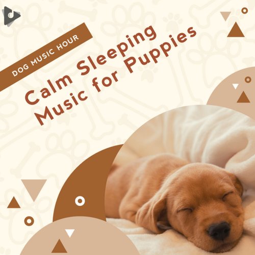 Calm Sleeping Music for Puppies